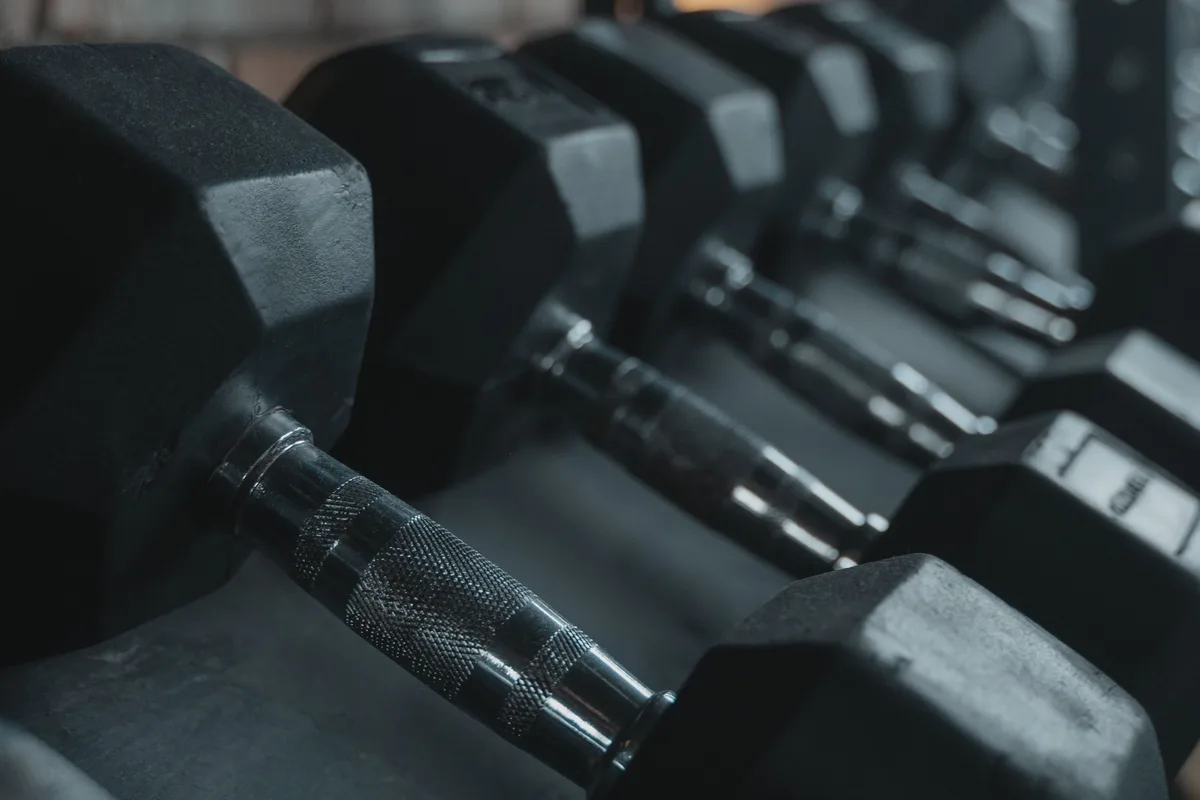 Dark dumbbells arranged on a gym rack